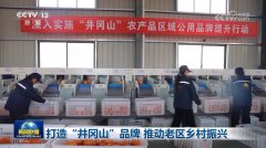 <b>打制“井冈山”品牌 鞭策老区村落复兴</b>
