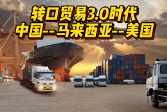 规避关税壁垒的聪慧径：马来西亚转话柄